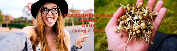 ГАЛЛЮЦИНОГЕННЫЕ ГРИБЫ Балабаново