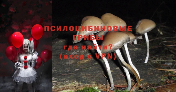 не бодяженный Белокуриха