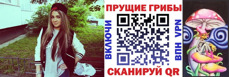 Псилоцибиновые грибы Cubensis где можно купить mega ТОР Кунгур